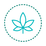 Cannabis waste disposal icon 1